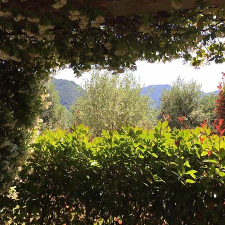 Agriturismo Tenuta La Fratta Бани ди Лука Екстериор снимка