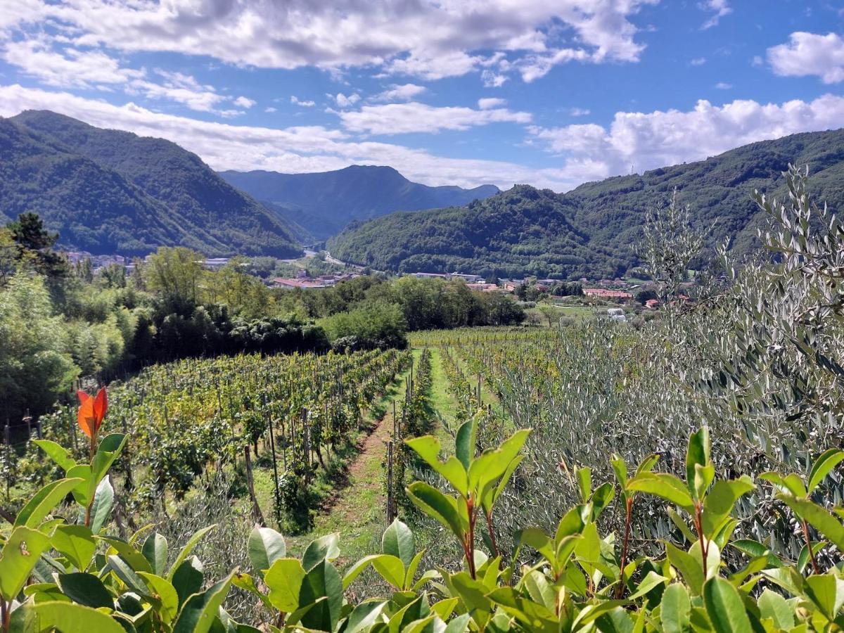 Agriturismo Tenuta La Fratta Бани ди Лука Екстериор снимка