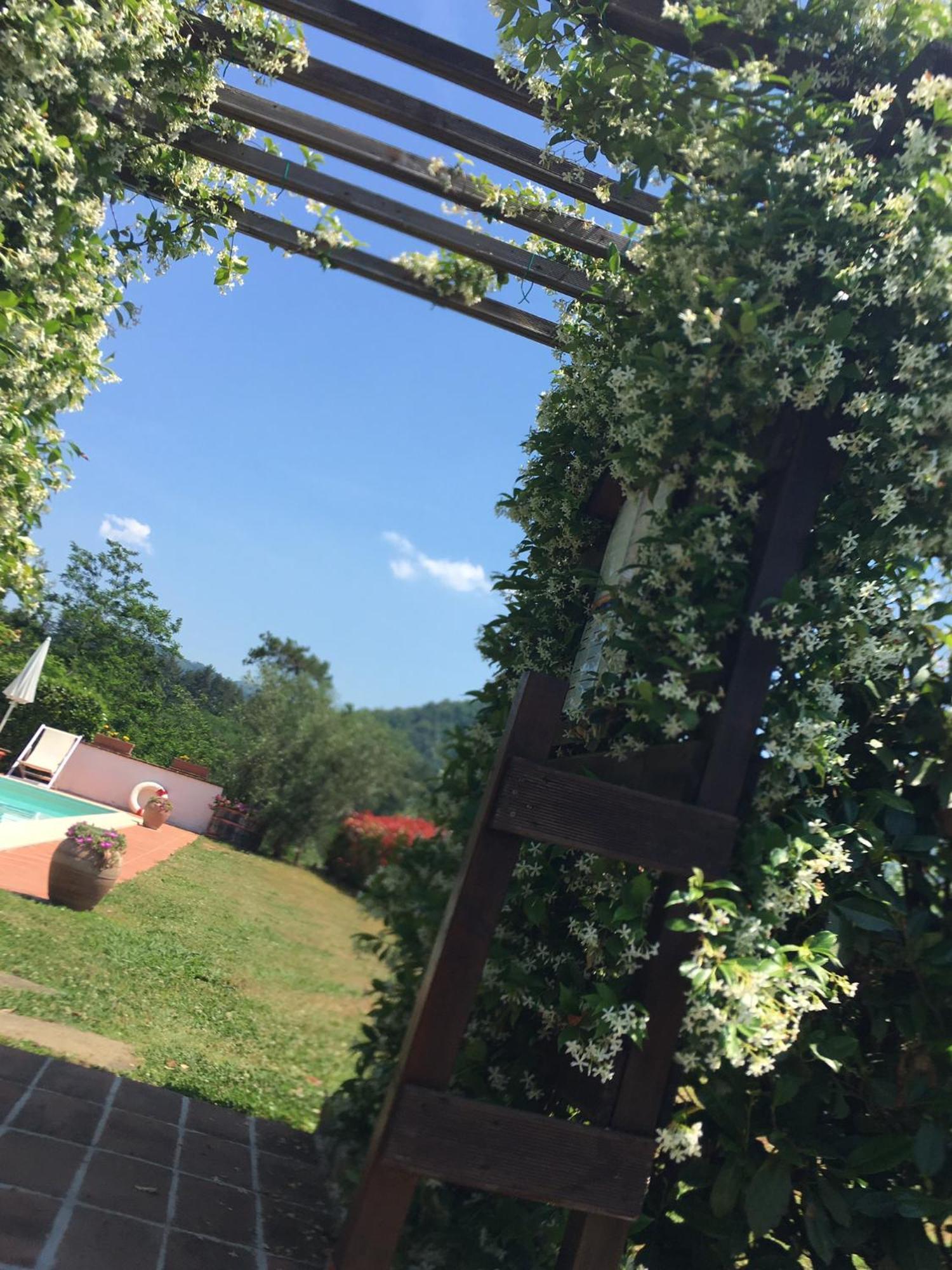 Agriturismo Tenuta La Fratta Бани ди Лука Екстериор снимка