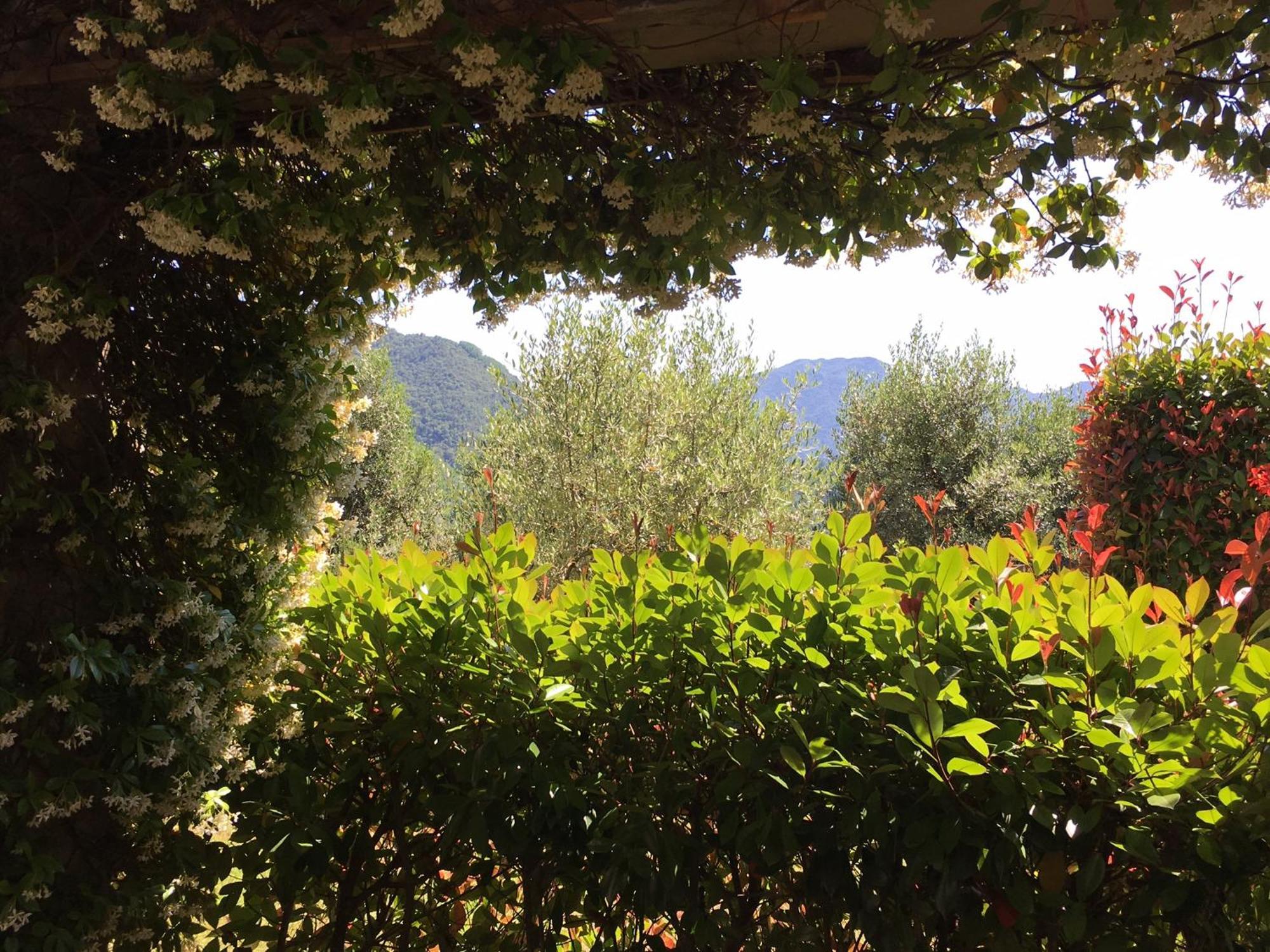 Agriturismo Tenuta La Fratta Бани ди Лука Екстериор снимка