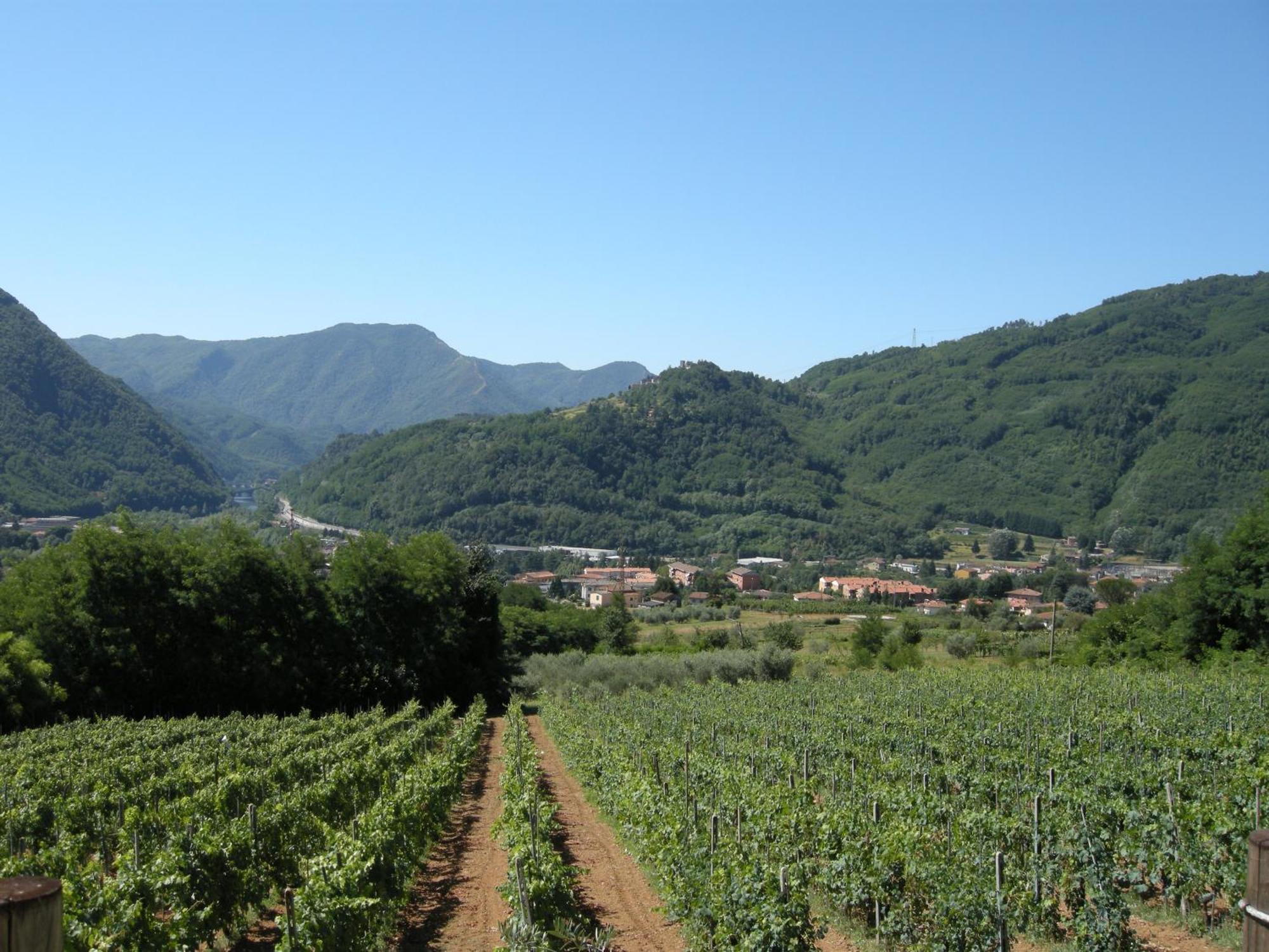Agriturismo Tenuta La Fratta Бани ди Лука Екстериор снимка