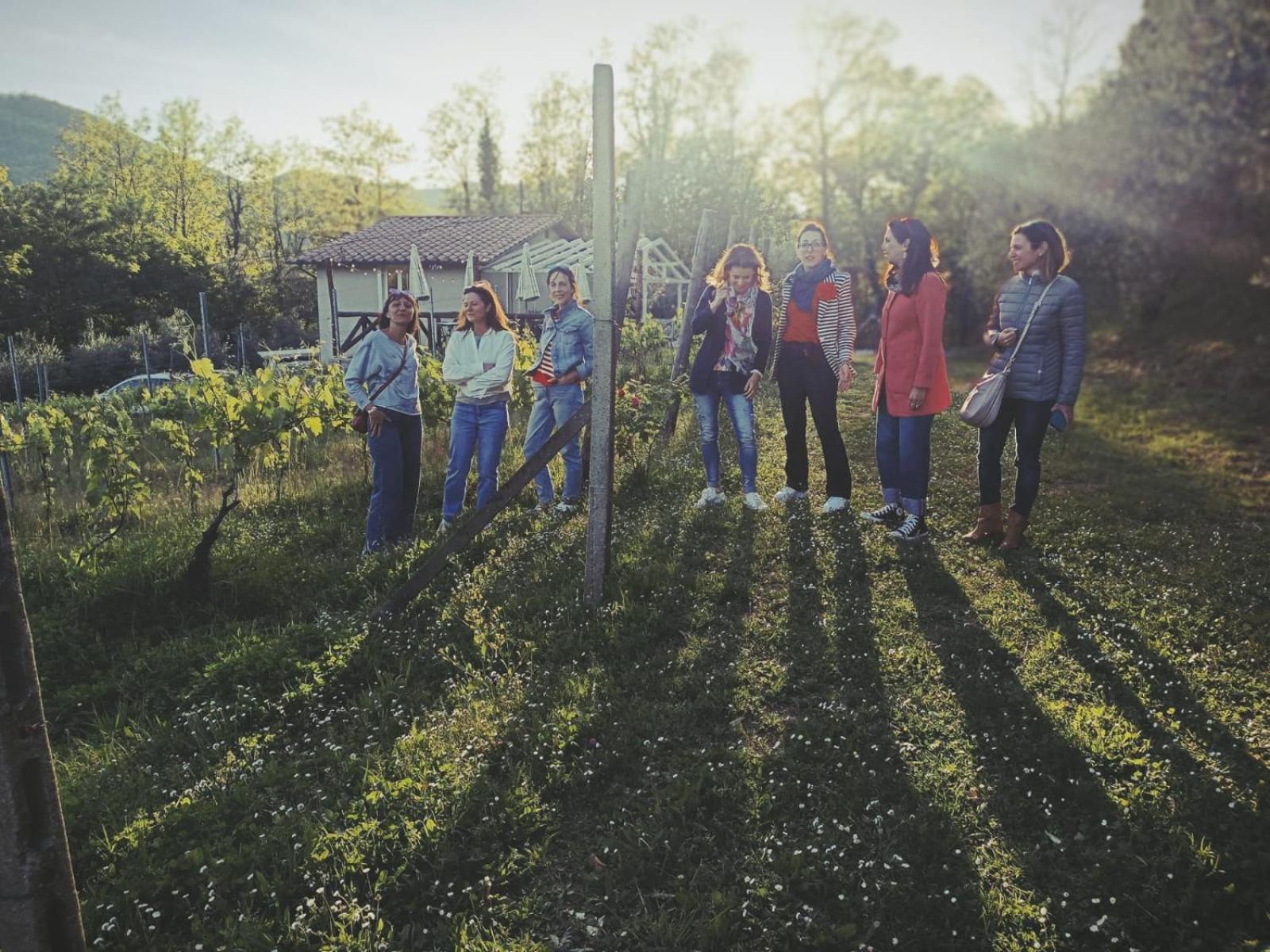 Agriturismo Tenuta La Fratta Бани ди Лука Екстериор снимка
