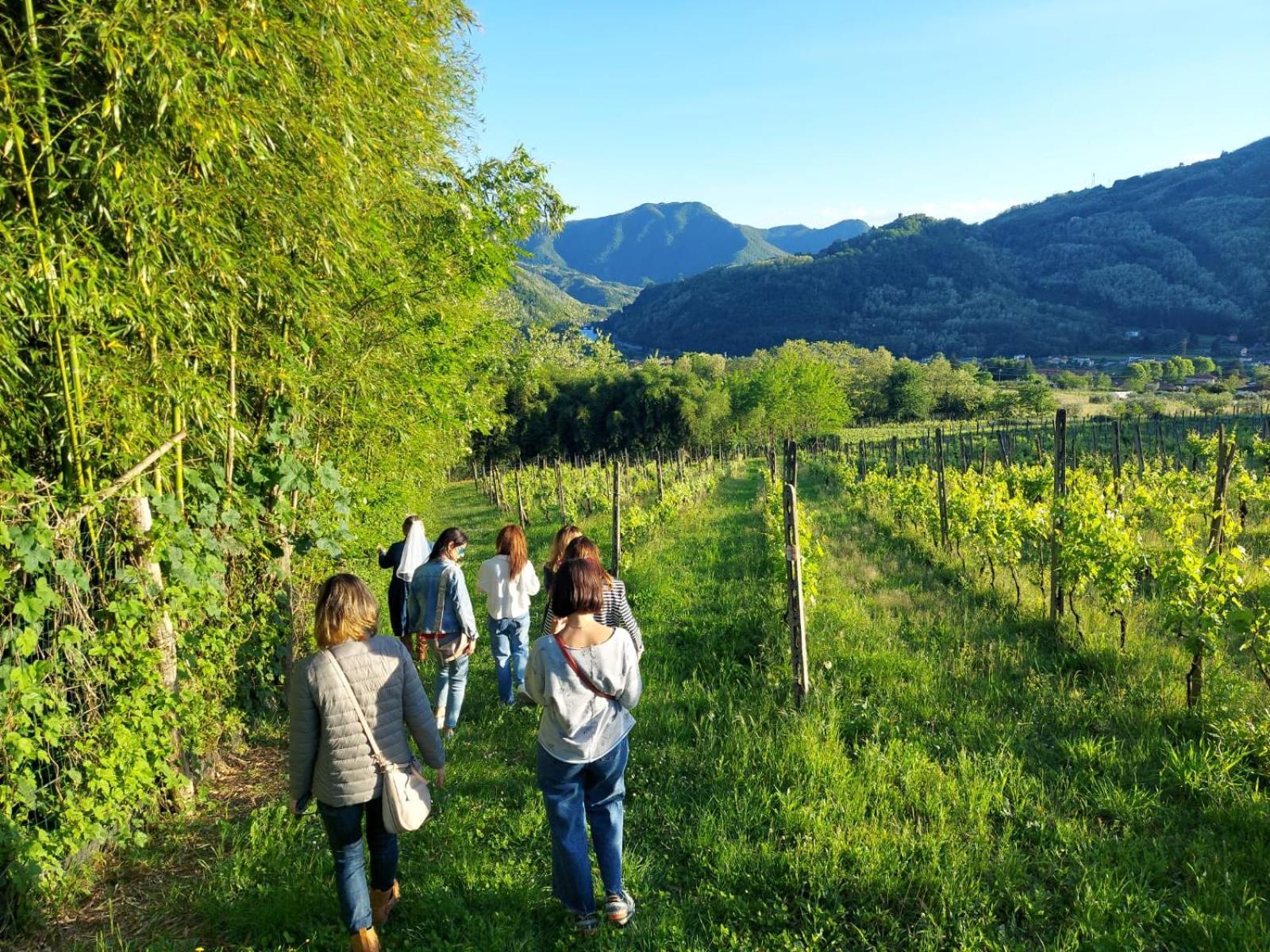 Agriturismo Tenuta La Fratta Бани ди Лука Екстериор снимка