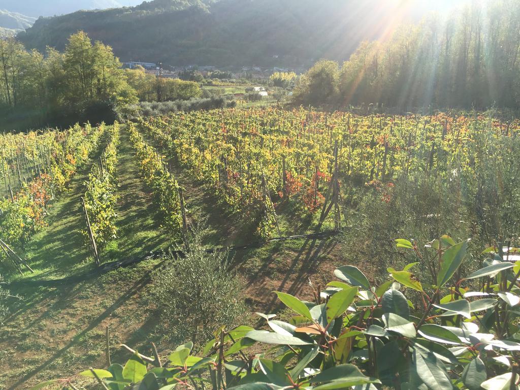 Agriturismo Tenuta La Fratta Бани ди Лука Екстериор снимка