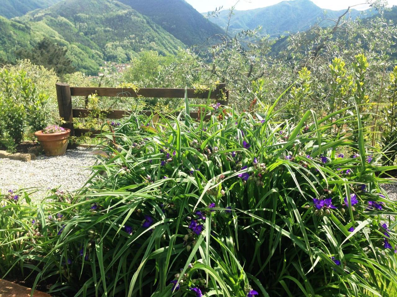 Agriturismo Tenuta La Fratta Бани ди Лука Екстериор снимка